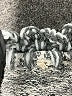 Assorted Brands Animal Print Gray Pullover Sweater Size XL (estimated) - photo 7