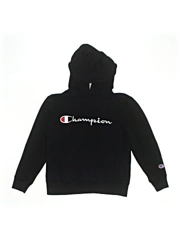 Champion Pullover Hoodie (view 1)