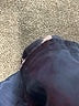 J.Crew Blue Casual Pants Size 8 - photo 8