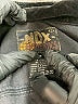 Assorted Brands 100% Cotton Black Fleece Size 4 - photo 6