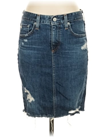 Adriano Goldschmied Denim Skirt (view 1)
