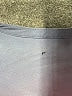 Unbranded 100% Polyester Gray Long Sleeve Blouse Size M - photo 7