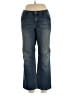 Earl Jean Blue Jeans Size 16 (petite) - photo 1