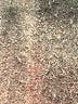 Anthropologie 100% Polyester Tweed Gray Pullover Sweater Size 0X - photo 7
