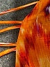 Cia Maritima Print Orange One Piece Swimsuit Size M - photo 3