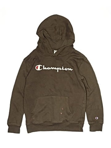Champion Pullover Hoodie (view 1)