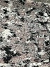 Athleta Animal Print Gray Casual Pants Size M - photo 7