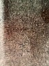 Unbranded Solid Brown Active Pants Size M (estimated) - photo 7