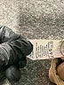 Frankie. Brown Khakis Size 6 - photo 6