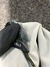 Vince Camuto Argyle Gray One Piece Swimsuit Size 1 - photo 4