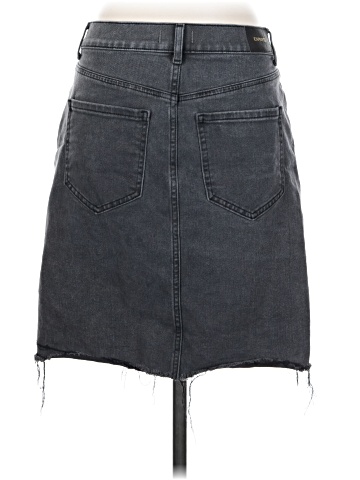 Express Denim Skirt (view 2)