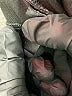 Pop Fit Black Active Pants Size XL - photo 8
