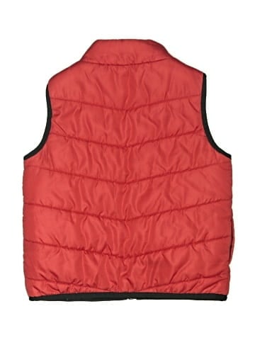 Spyder Vest (view 2)