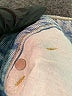 Zara Blue Jeans Size 8 - photo 8