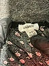 Garage 100% Rayon Black Short Sleeve Blouse Size S - photo 7