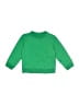 Primary Clothing Green Pullover Sweater Size 12-18 mo - photo 1