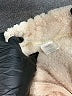Assorted Brands 100% Polyester Ivory Turtleneck Sweater Size S - photo 7