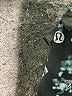 Lululemon Athletica Teal Active Pants Size 4 - photo 7