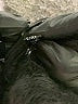 Free Country Black Active Pants Size Lg - XL - photo 9