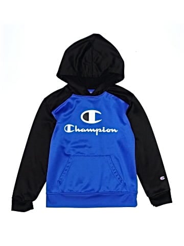 Champion Pullover Hoodie (view 1)