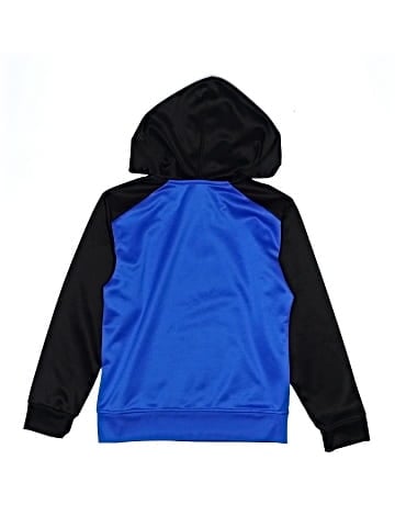Champion Pullover Hoodie (view 2)