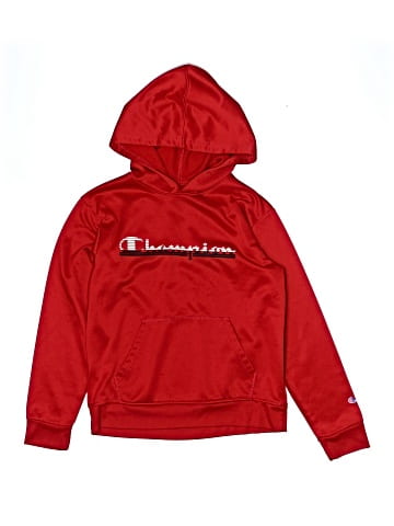 Champion Pullover Hoodie (view 1)