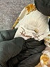 Panama Jack Floral Gold Casual Pants Size L (estimated) - photo 7