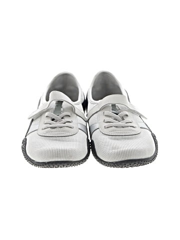 Puma Flats (view 2)
