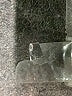 Lululemon Athletica Gray Active Pants Size 6 - photo 8
