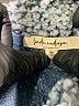 Linda anderson 100% Polyester Gray Fleece Size M - photo 6