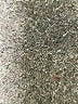 Assorted Brands 100% Cotton Silver Cardigan Size L - photo 5