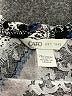 Cato 100% Rayon Silver 3/4 Sleeve Blouse Size 26 - 28 Plus - photo 7