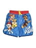 Nickelodeon 100% Polyester Blue Board Shorts Size 2T - photo 1