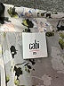 CAbi 100% Polyester Floral Silver 3/4 Sleeve Blouse Size XS - photo 7