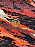 Lululemon Athletica Print Black Active Pants Size 0 - photo 7