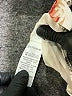 Shein 100% Polyester Floral Ivory Casual Pants Size XS - photo 8