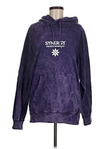 Synergy Pullover Hoodie (view 1)