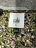 CAbi 100% Polyester Brown Long Sleeve Blouse Size L - photo 4