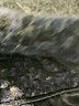Unbranded Chevron-herringbone Blue Coat Size S (estimated) - photo 6