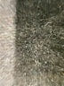 AG Jeans Blue Jeans Size 10 - photo 5
