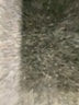 Assorted Brands 100% Polyester Tan Sleeveless Blouse Size 1X - photo 8