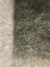 Splendid Tan Long Sleeve Top Size L - photo 8