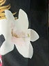 Unbranded Floral Black Yoga Pants Size 0 (estimated) - photo 7