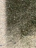Every Black Casual Dress Size XS - photo 9