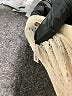 Free People Ivory Casual Dress Size XS - photo 9