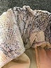 Altar'd State Paisley Silver Shorts Size M - photo 5