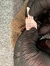 Unbranded Brown Cardigan Size M - photo 9