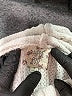 Hippie Rose 100% Polyester Ivory Turtleneck Sweater Size L - photo 7