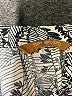 Assorted Brands Paisley Gray Casual Dress Size XL (estimated) - photo 7