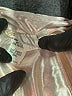 Clifford & Wills 100% Polyester Metallic Silver Pink Long Sleeve Blouse Size S - photo 7